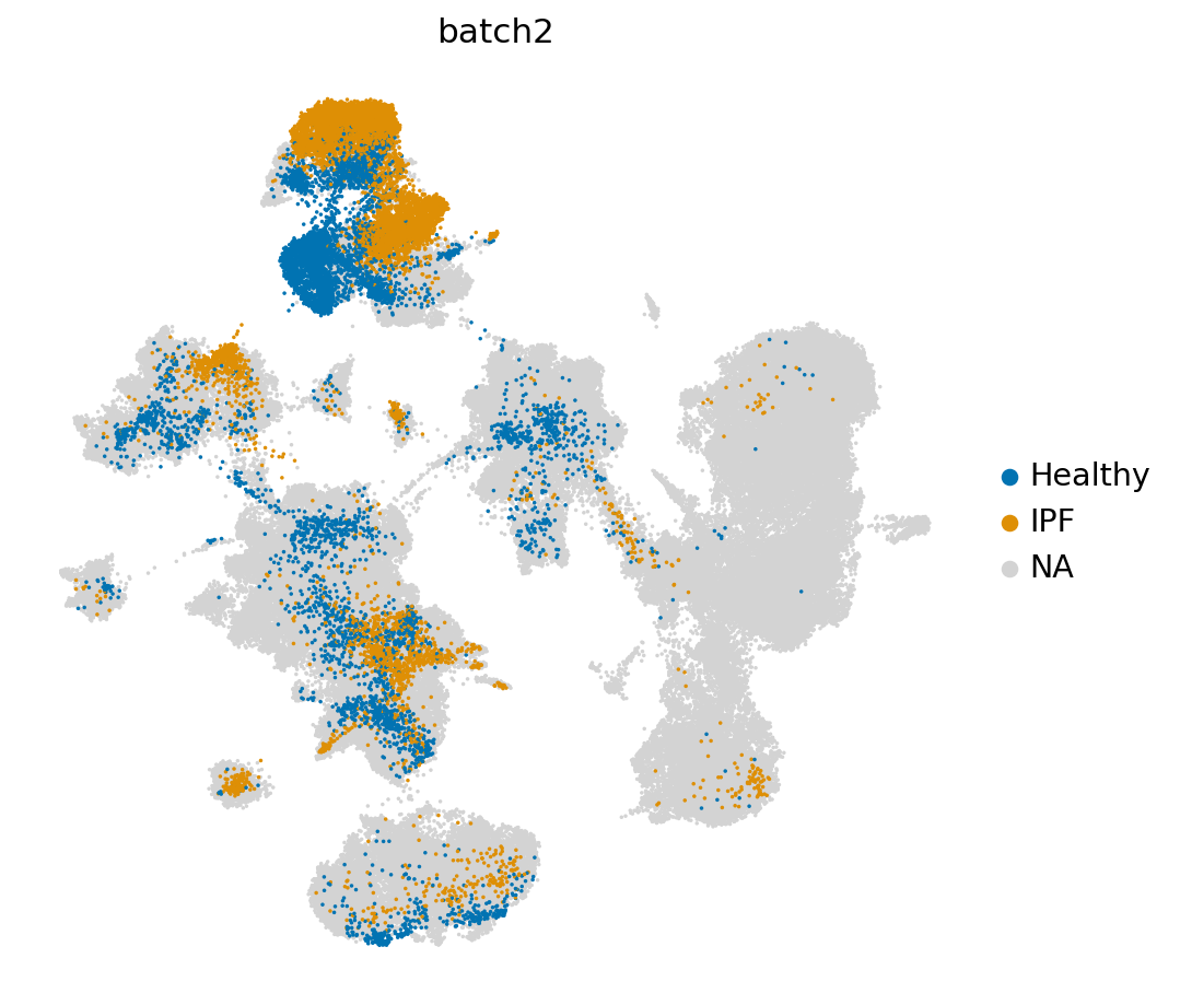 _images/treeArches_identifying_new_ct_21_1.png