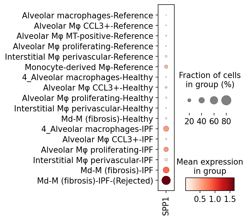 _images/treeArches_identifying_new_ct_46_1.png