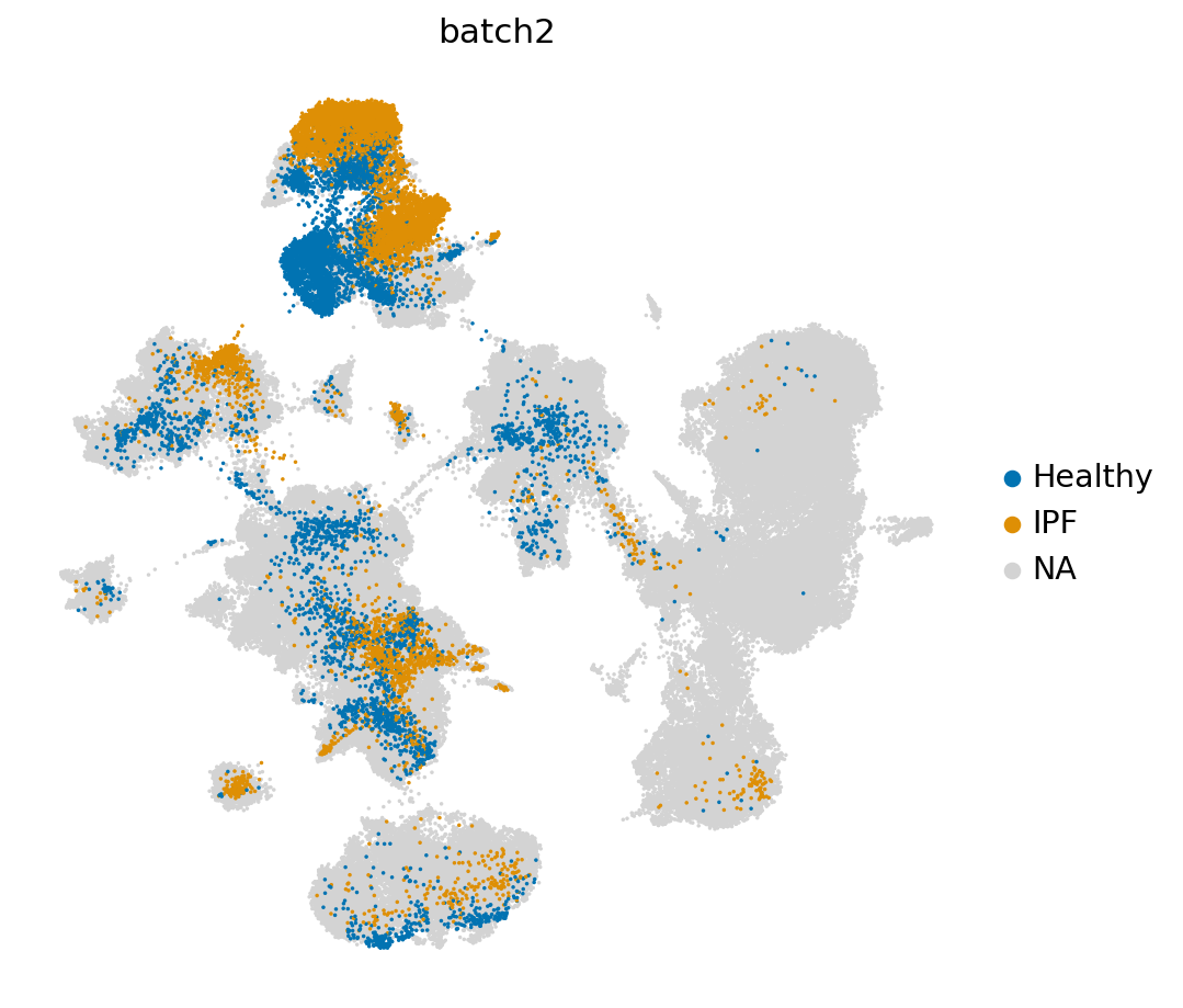 _images/treeArches_identifying_new_ct_21_1.png
